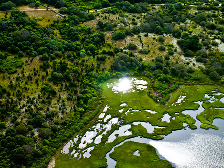 Aerial Photograph of Martha's Vineyardの写真素材