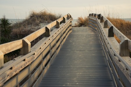 pathway to the beach, a scenic view of the seashore along sand dunesの写真素材