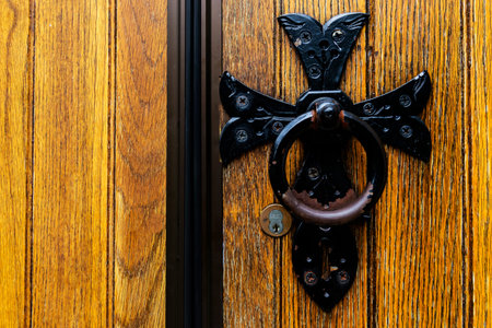 old antique door knocker on wooden door