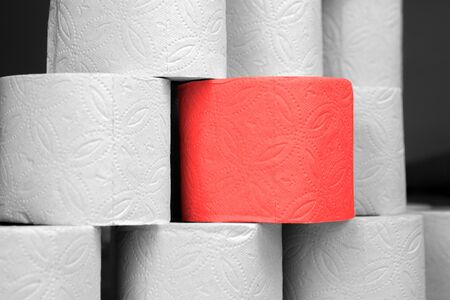 Red special roll of elite toilet paper among the many ordinary rolls of toilet paper. Concept features, elitism. Unlike the others.の写真素材