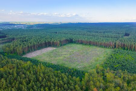 Deforestation of green Amazonian forests. Human impact on the environment. Destruction of forest resources.の写真素材