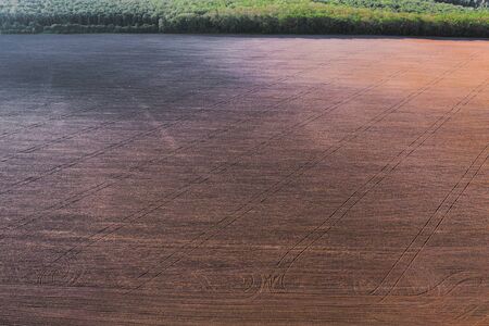 Clay field in the sowing season. Field for sowing wheat and barley. Drone Photo.の写真素材