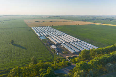 Hydroponic ecological autonomous vegetable farm with a large number of greenhouses for growing vegetables among green fields.の写真素材