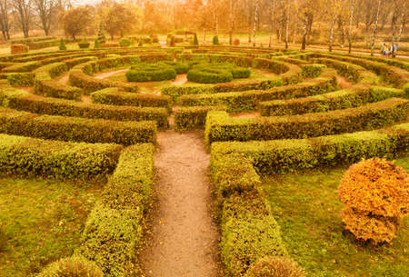 Autumn labyrinth of plants - a hedge in the Botanical Garden named Grishko in Kiev - wide shotの写真素材