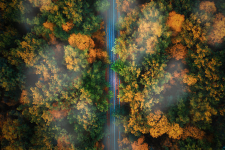 Fall mist landscape with railroad and foggy trees foliage. Top view.