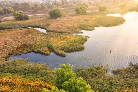 Swamp with a cane at dawn in autumn - aerial shotの写真素材