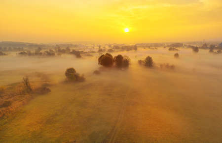Silhouettes of trees against the low dawn sun - yellow dawn on the meadowの写真素材