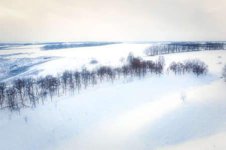 Winter landscape: hillsides covered with snow and trees with fields on the horizon on a winter day in freezing weather.の写真素材