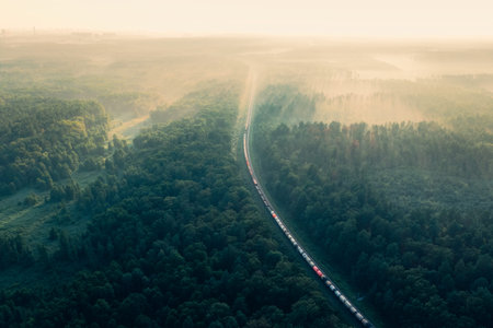 Train rides through the forest in the fog at dawn on a summer morning - aerial shot
