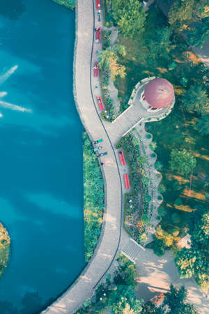People on yoga mats practice yoga on the shore of blue picturesque lake in early morning in city parkの写真素材