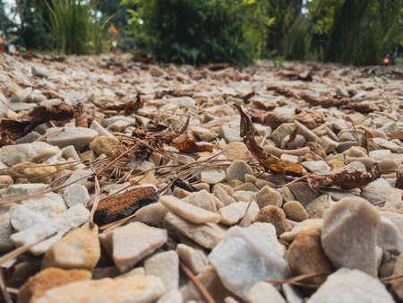 Decoration of flower beds with natural stone: granite crushed stone and gravelの写真素材
