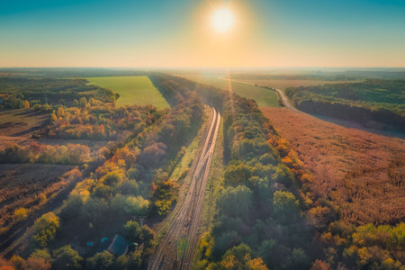 Rails of the railway surrounded by a forest belt in autumn, aerial drone shotの写真素材