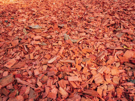 Wooden Organic Chips to conserve soil moisture, moderate soil temperature and suppress weed growthの写真素材