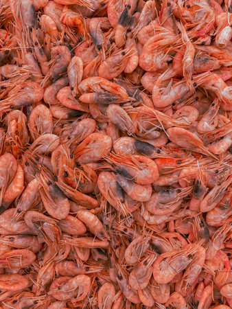 Pink chilled shrimp in the supermarket: vertical banner top view. Cooked shrimp living Coral color.