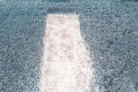 Large Deforestation Area without Trees in Winter Forest: Aerial Drone Shotの写真素材