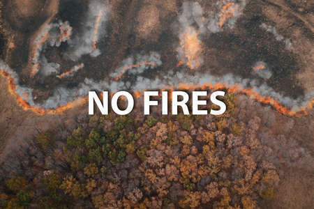A strip of Dry Grass sets Fire to Trees in dry Forest: Forest fire - Aerial drone top view.の写真素材