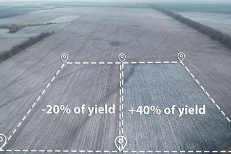 Comparing yields in two areas of the field Conceptの写真素材