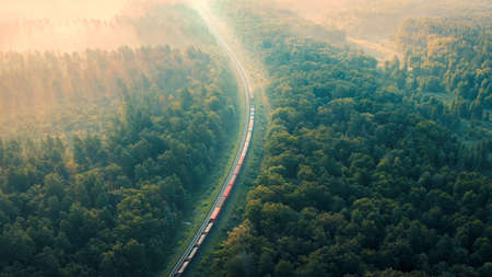 Cargo Train rides through the forest in the fog at dawn on a summer morning - aerial shotの写真素材