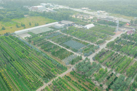 Big Industrial Tree Nursery for Landscape Design - drone top view shotの写真素材