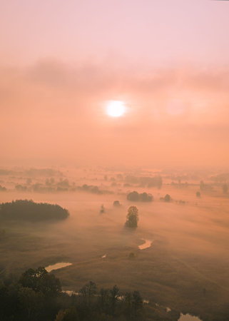 Stunning fog morning on a spring forehead with a river and tree in a distance.