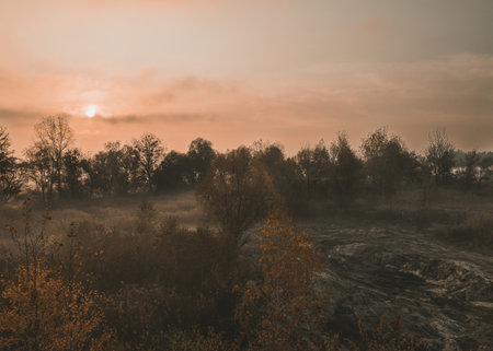 Autumn foggy morning landscape in the forest with the sun through the cloudsの写真素材