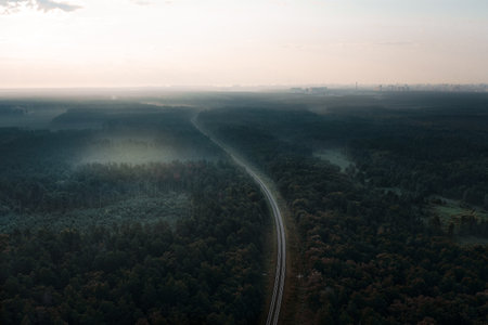 The railway goes into the distance in the mysterious forest - aerial drone shotの写真素材
