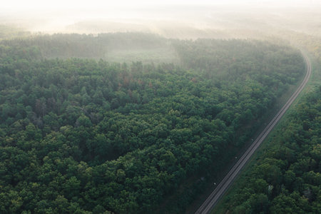Green misty forest with railway for train at dawn - aerial shotの写真素材