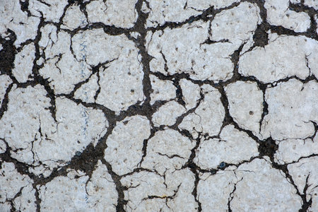 Macro shot of a cracked white crosswalk marking, showcasing its texture in detailの写真素材