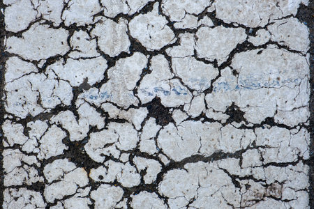 Details of cracked white pedestrian crosswalk markingの写真素材