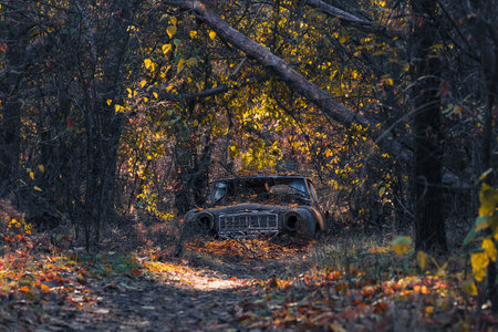 In an intriguing scene, an old, rusty car is artfully obscured by a blanket of vibrant autumn leaves, all set in a serene and peaceful forest environment that invites exploration and adventureの写真素材