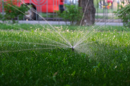 This image shows a garden sprinkler watering a lush lawn. The shimmering droplets in sunlight create an inviting scene, perfect for relaxation and appealing to anyone seeking a tranquil escapeの写真素材