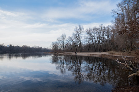 A tranquil river scene beautifully showcases the crisp reflections of bare trees prominently mirrored against the expansive clear blue sky above, encapsulating the serene beauty of winterの写真素材