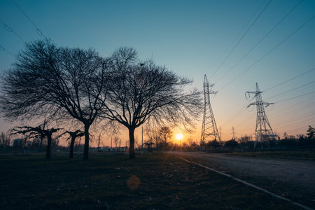 A tranquil sunset casts its glow over the skyline, beautifully framed by bare trees and towering lines, capturing a perfect blend of nature and human infrastructure in one breathtaking sceneの写真素材