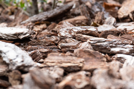 This closeup image highlights the vibrant, intricate texture of wood bark mulch, ideal for enhancing gardens by retaining soil moisture and adding aesthetic appeal to various landscapesの写真素材