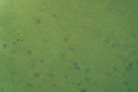 Top-down aerial photograph capturing vivid green farmland texture. Darker, irregular spots and...