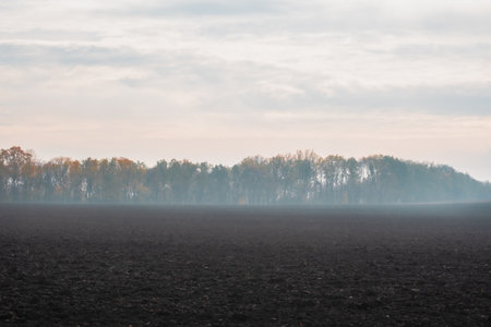 Horizontal landscape of a dark plowed field meeting a colorful autumn forest belt in light mist under an overcast sky. Conceptual background for farming, season change, nature boundary, and rural.の写真素材