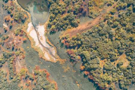 Aerial drone shot of a drought-affected landscape. A winding dry riverbed cuts through dense, mottled riparian zone vegetation, illustrating water scarcity and ecological damage.の写真素材