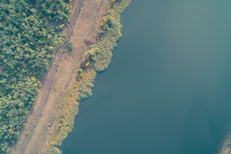 Abstract drone shot capturing the serene boundary between a dense green forest and a dark blue water body. A dirt path and yellow reeds define the shoreline, creating a textured natural contrast.の写真素材
