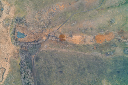 Vertical shot of a country track meandering through marshes and meadows with orange vegetation....