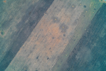 Aerial top-down view of tilled agricultural land segmented into diagonal strips of contrasting soil colors and textures. The geometric, minimalist pattern is subtly disrupted by small impact craters.の写真素材