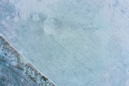 Rhythmic arrangement of withered vegetation on the snowy ground creates a structured natural...