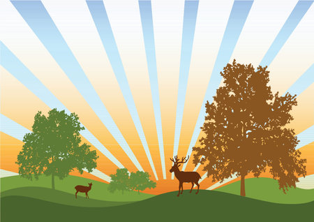 Picture of the nature on sunrise with deers and treesのイラスト素材
