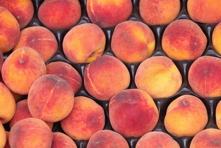 Summer Harvest.  Delicious peaches on marketの写真素材