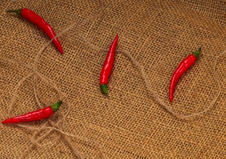 Four red hot chilli pepper on a sackingの写真素材