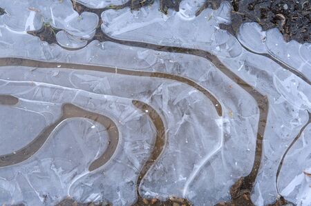 The first frosts. Thin Ice on a puddle surfaceの写真素材