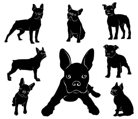 Silhouette of Boston terrier. Dogs and puppies illustrationのイラスト素材