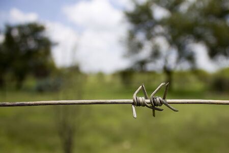 Accross the wireの写真素材