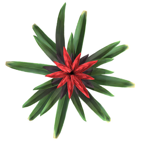 top view of red flower isolated on white background. 3d illustrationの写真素材