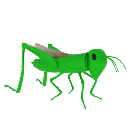 Grasshopper isolated on white background. High quality 3d illustrationの写真素材