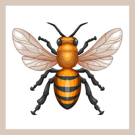 Realistic mascot drawing of bees with full of detailのイラスト素材